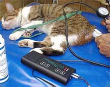 Vet BP Doppler